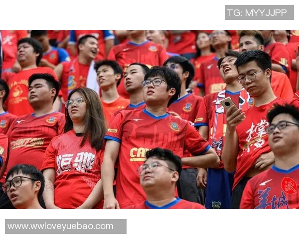 足球球迷记录：追踪热爱与激情的每一场比赛与瞬间